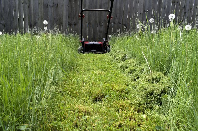 Lawn Maintenance Service