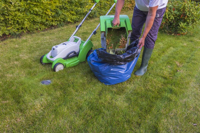 Lawn Maintenance