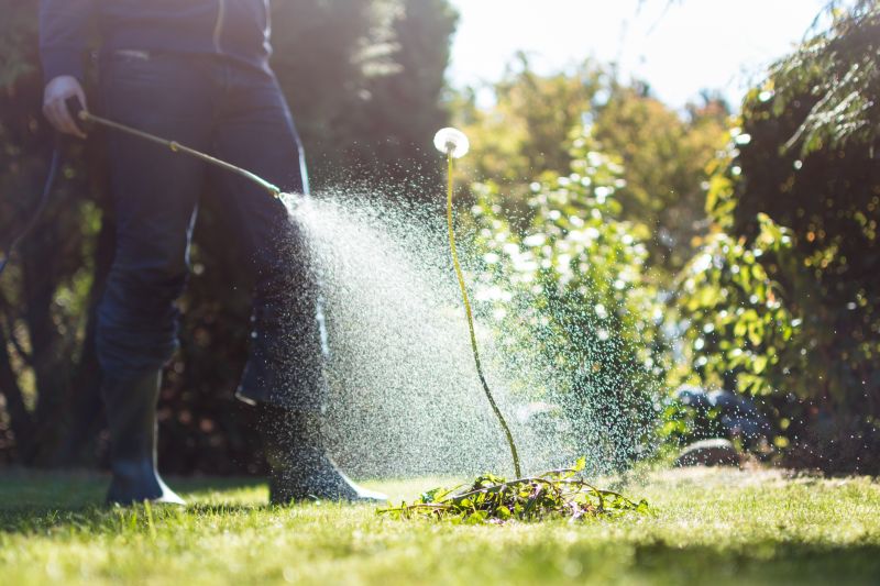 Lawn Herbicide Treatment in Aiken, SC