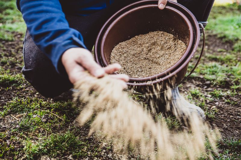 Lawn Seeding in Honolulu, HI