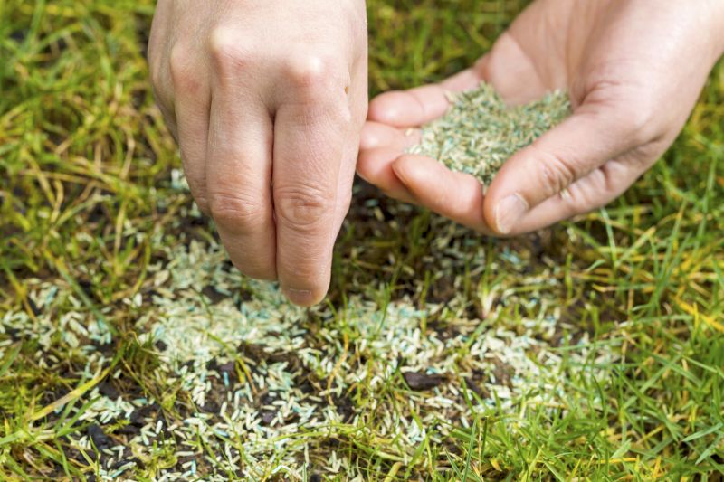 Lawn Seeding in Ventura County, CA