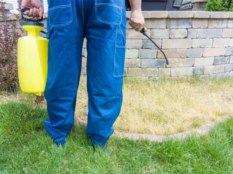 Lawn Treatment Service in Honolulu, HI