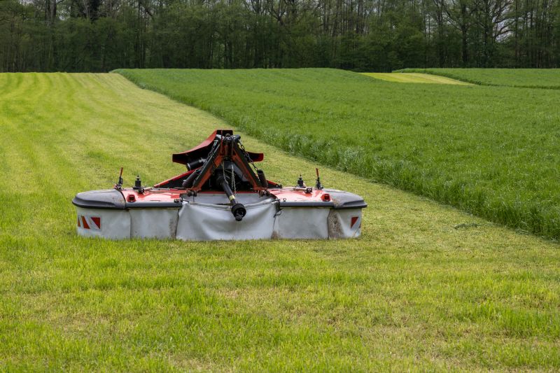 Pasture Mowing in Duluth, MN