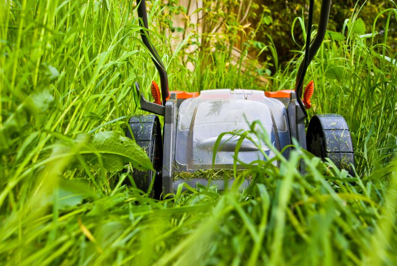 Overgrown Lawn Service