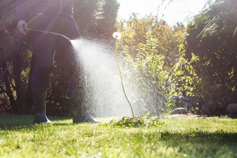 Crabgrass Removal in Honolulu, HI
