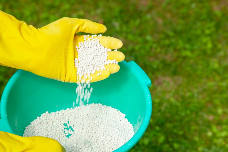 Grass Fertilizing Service in Honolulu, HI