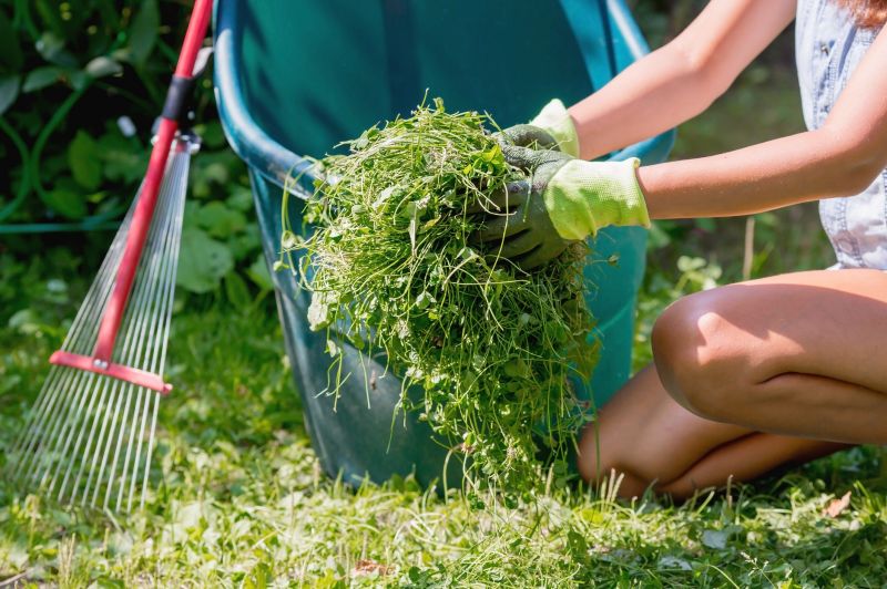 Landscaping Cleanup Service in Ventura County, CA