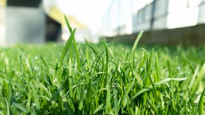 Lawn Fertilization Service in Ventura County, CA