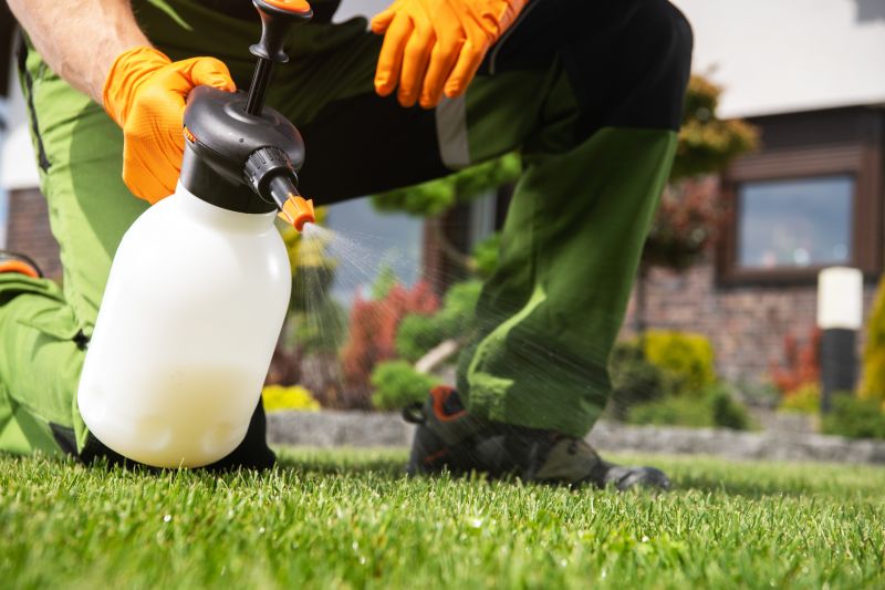 Lawn Herbicide Treatment in Aiken, SC