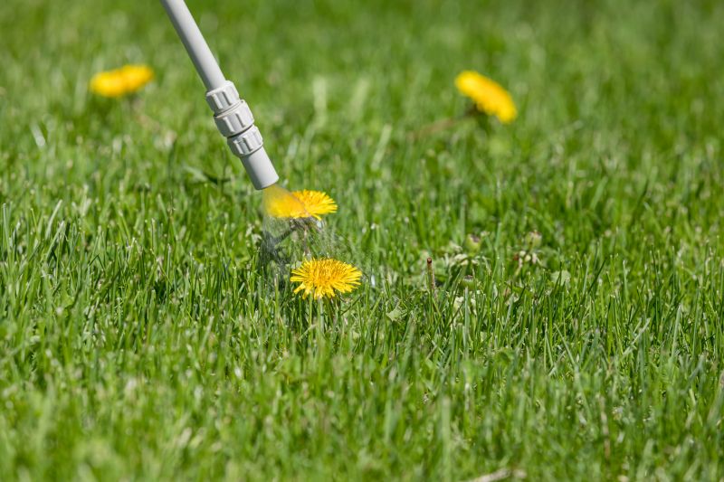 Lawn Herbicide Treatment in Honolulu, HI