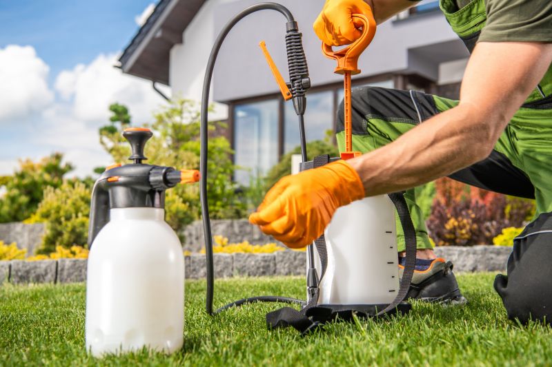 Lawn Moss Control in Ventura County, CA