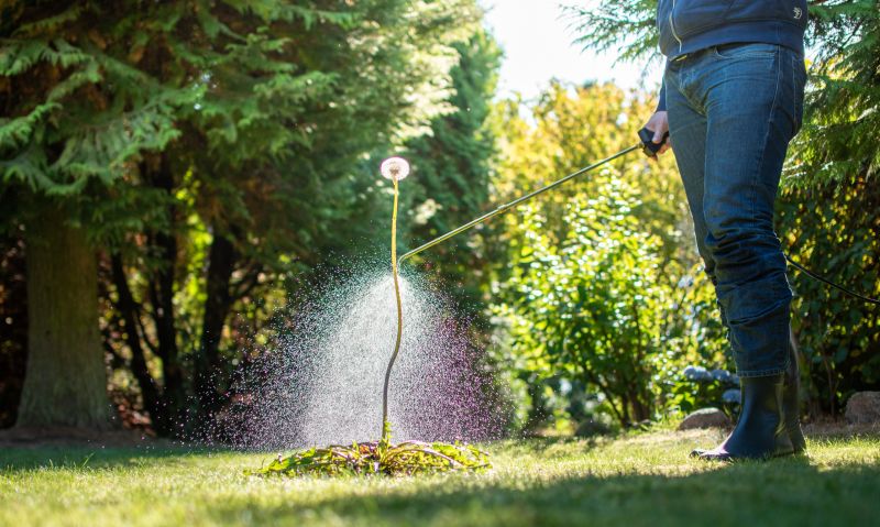 Lawn Spraying in Honolulu, HI