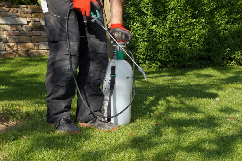 Lawn Weed Control in Ventura County, CA