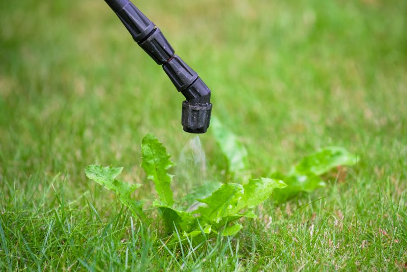 Lawn Weed Spraying in Rockwall, TX