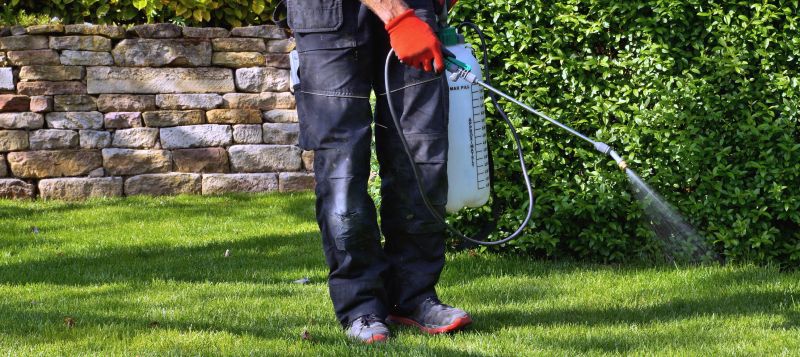 Lawn Weed Treatment in Rockwall, TX