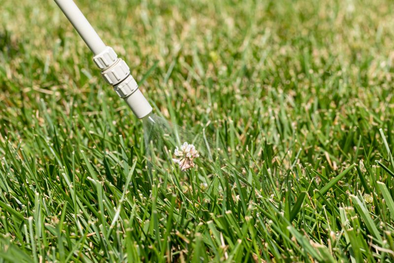Lawn Weed Treatment in Aiken, SC