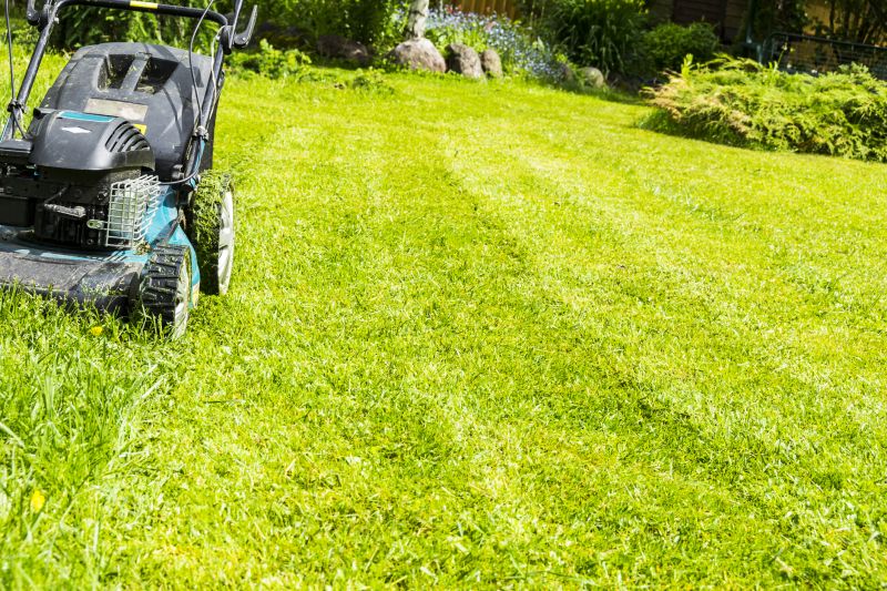 Meadow Mowing in Duluth, MN