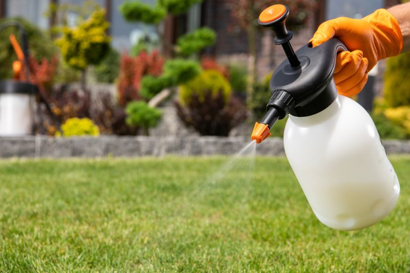 Mushroom Removal Service in Honolulu, HI