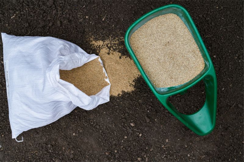 New Lawn Seeding in Ventura County, CA