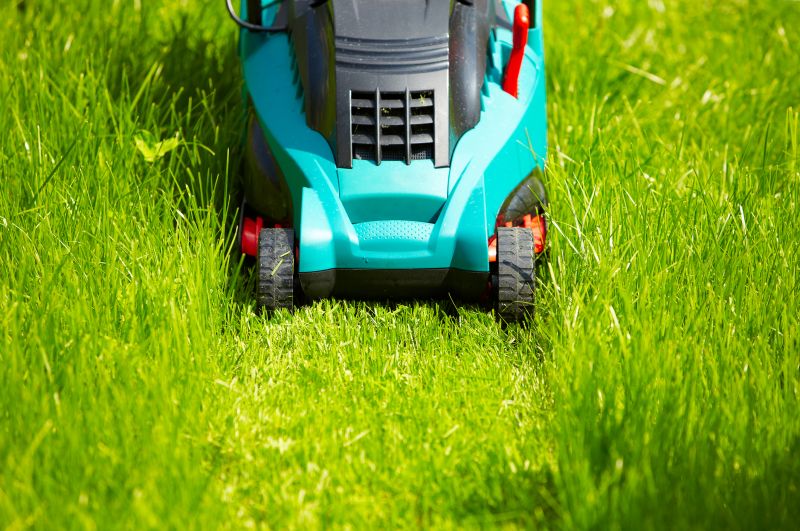 Lawn Equipment in Action