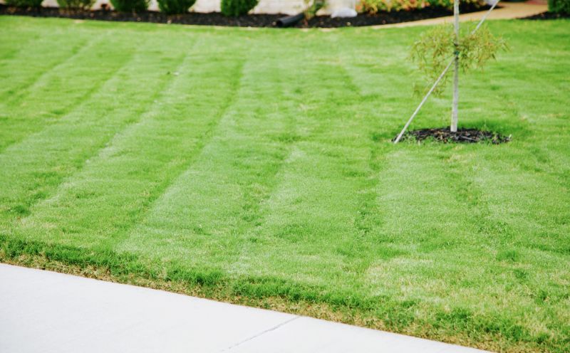 Overgrown Lawn Trimming in Bowie, MD