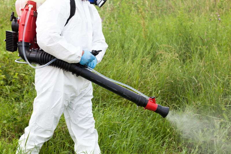 Pampas Grass Control in Aiken, SC
