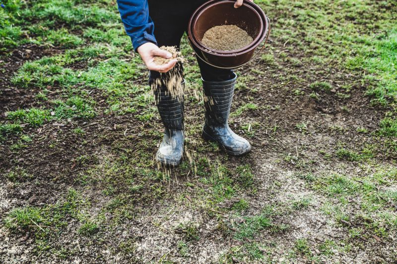 Residential Grass Seeding in Ventura County, CA