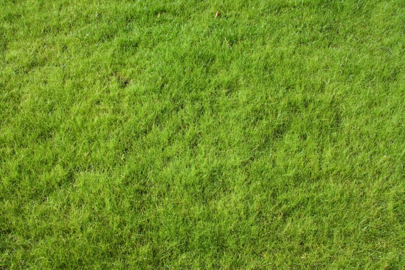 Residential Grass Seeding in Honolulu, HI