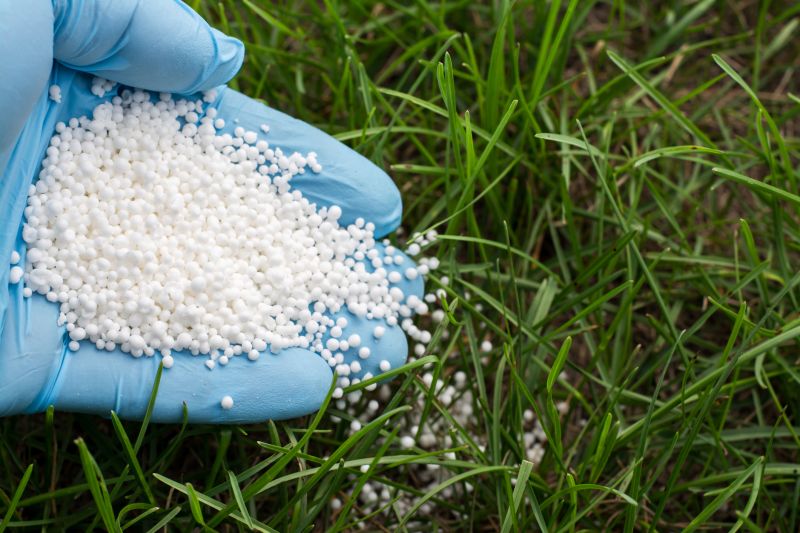 Residential Lawn Fertilizing in Ventura County, CA