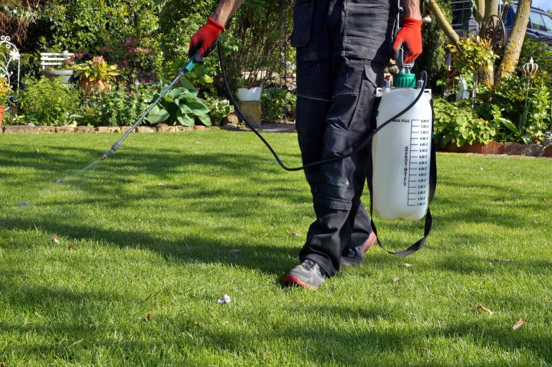 Slope Weed Control in Rockwall, TX