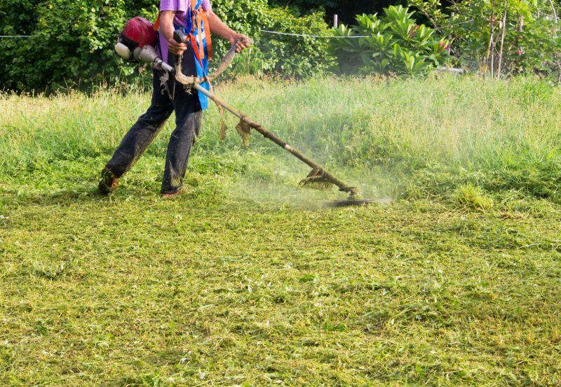 Slope Weed Control in Honolulu, HI