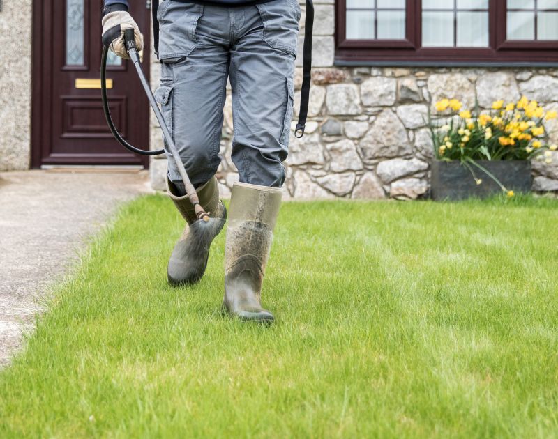 Spring Lawn Treatment in Honolulu, HI