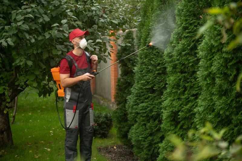 Thistle Treatment in Ventura County, CA