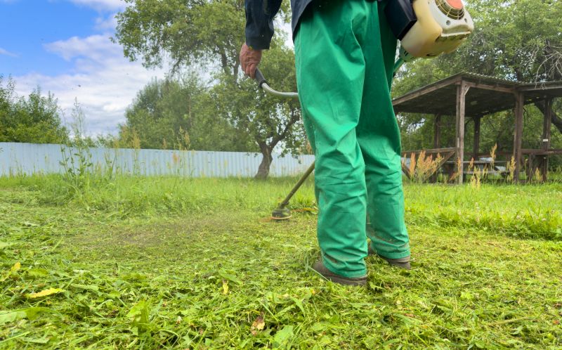 Weed Control Service in Aiken, SC