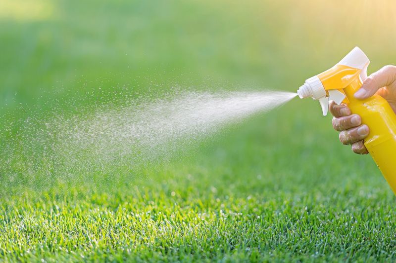 Weed Control Service in Honolulu, HI
