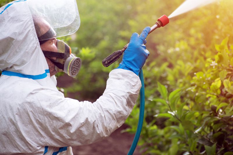 Weed Prevention Service in Rockwall, TX