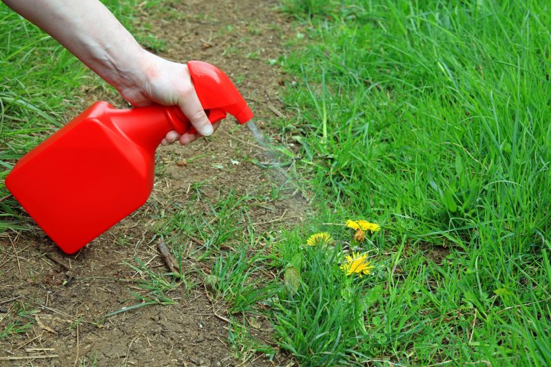 Weed Spraying in Ventura County, CA