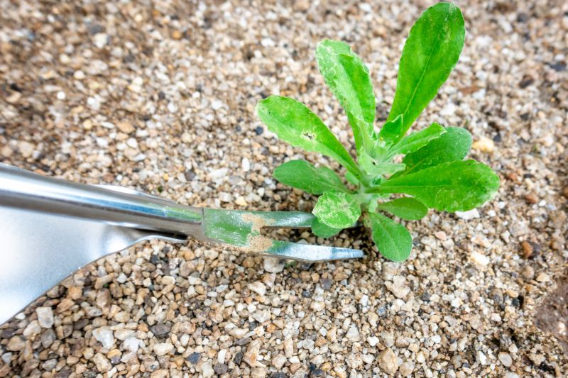 Weeding Service in Ventura County, CA