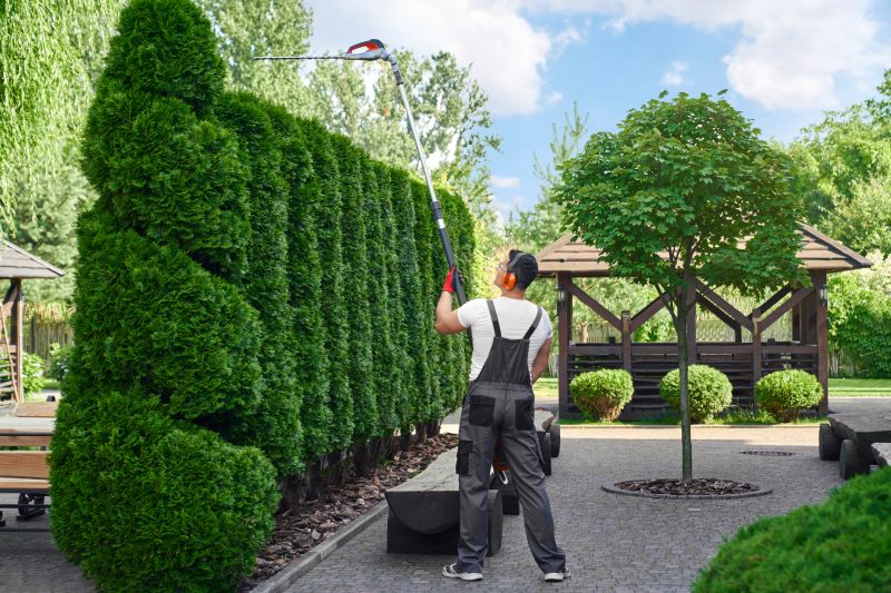 Hedge Trimming Experts