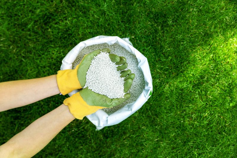 Yard Improvement Service in Ventura County, CA